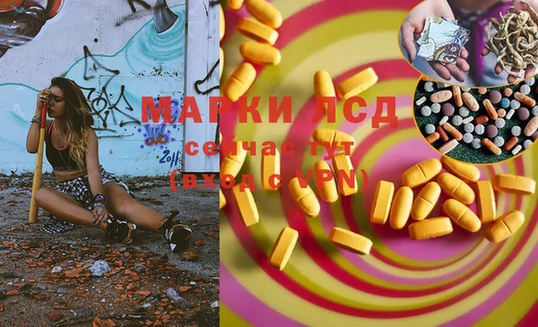 apvp Бородино