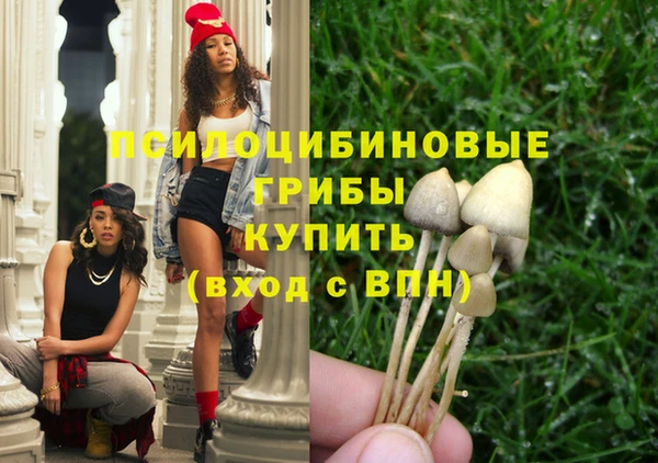 дмт Богородск